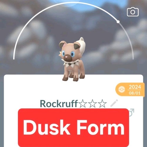 Pokémon rockruff forma - pokémon, go/rockruff
