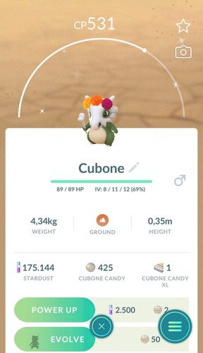 Pokemon cubone lucido che - pokemon,