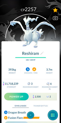 Reshiram black tour - bg, go