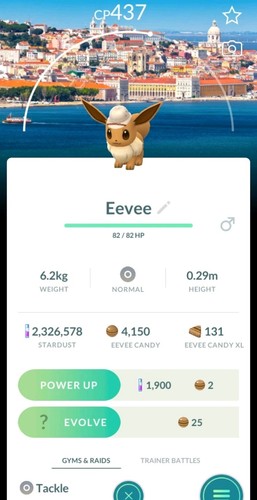 Pokémon eevee lisbon - go,