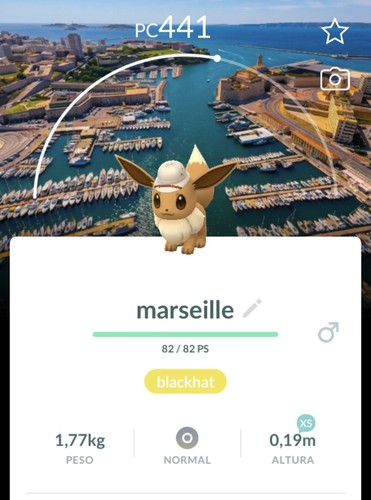 Pokémon eevee safari - 📍pokémon,