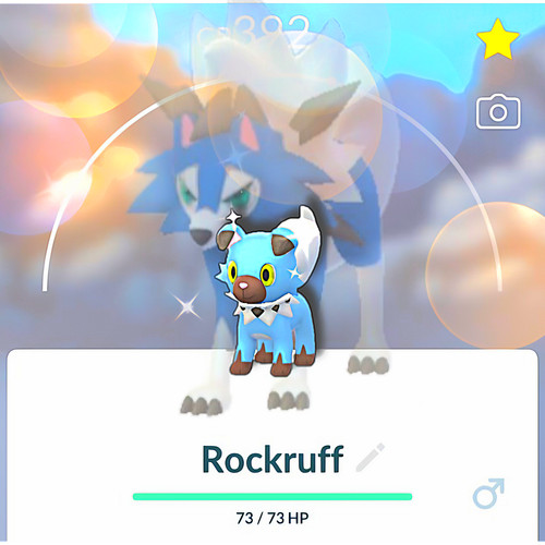 Shiny rockruff - 🌟, &