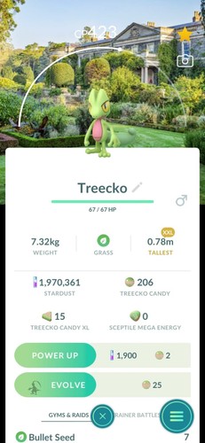 Pokémon treecko xxl - pokémon,