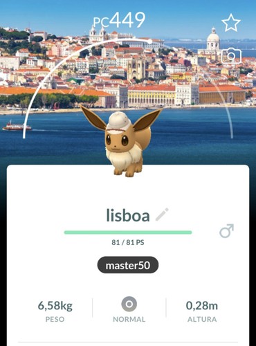 Pokémon eevee safari - 📍pokémon,