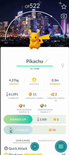 Pokemon✨Pikachu