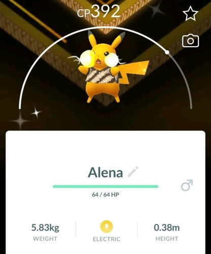 Pokémon ptc camicia - pokémon, ✨️