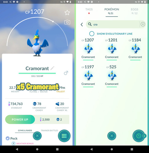 Pokémon ptc cramorant - pokémon, |
