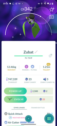 Pokemon ptc shiny zubat - ptc,