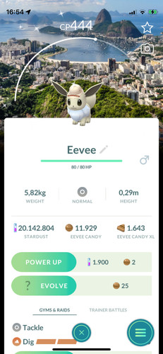 Pokemon costume sfondo - costume,