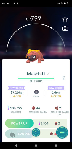 Pokémon ptc maschiff - ptc,