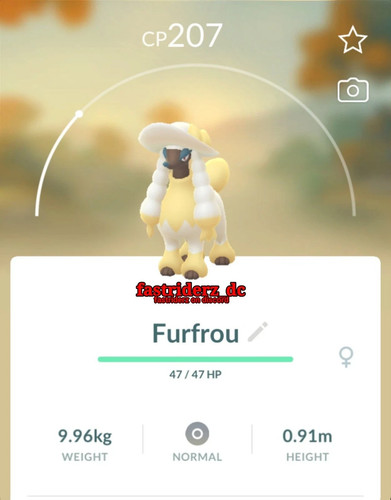 Furfrou pokemon debuttante - furfrou,