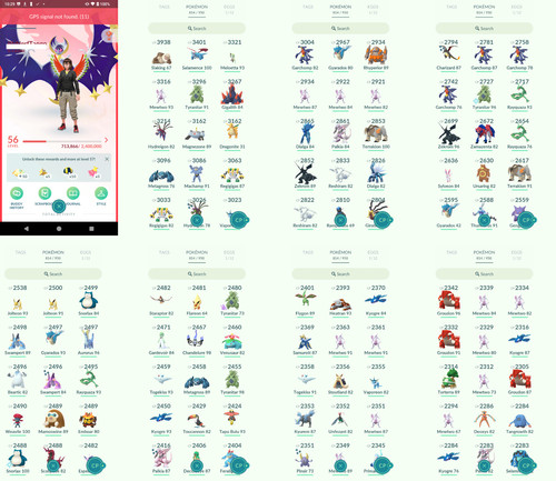 Pokémon acc livello 56 - go,