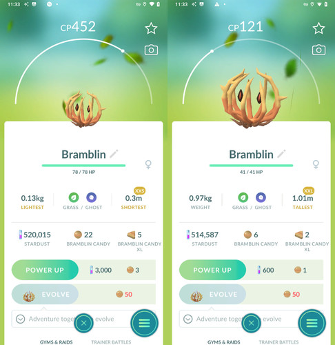 Pokémon bramblin xxl xxs - pokémon,