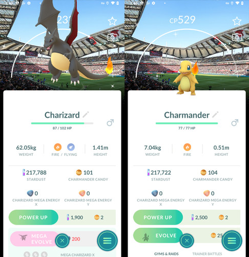 Charmander charizard - ✨, charmander/charizard