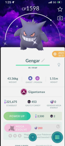 Pokemon gengar gigantamax - -,