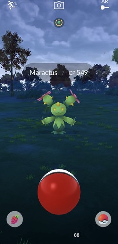 Pokemon maractus - pokemon,