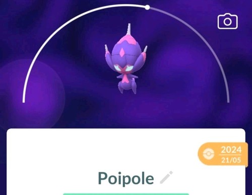 Pokémon poipole registrato - pokémon,