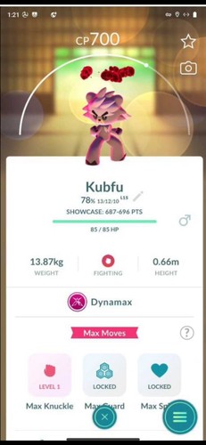 Dynamax kubfu ptc 20k - -,