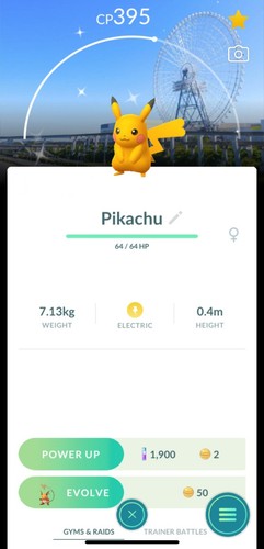 Shiny pikachu suita - 🌟shiny, pikachu🌟suita