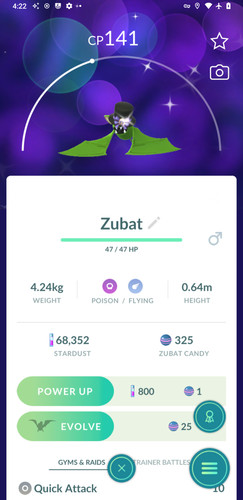 Zubat lucido che indossa - ✨,