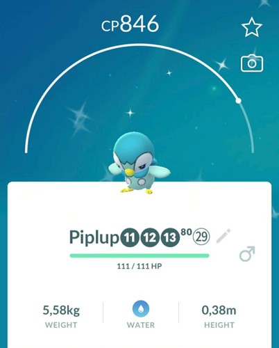 Pokemon shiny piplup - pokemon✨shiny, piplup💥tra
