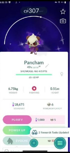 Shiny shadow pancham purifica - shiny,