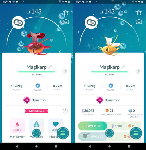 Shiny dynamax magikarp - shiny,