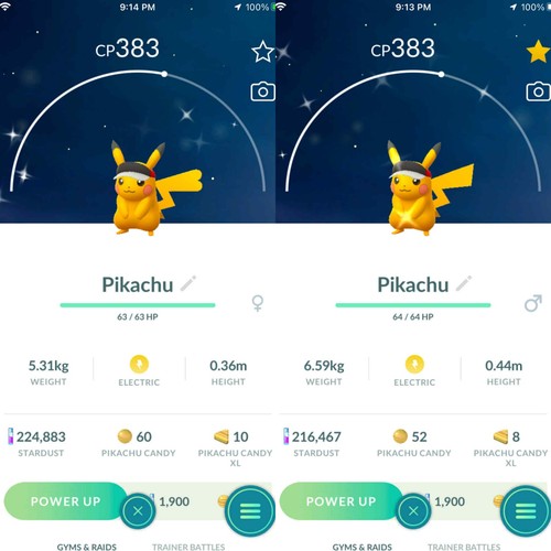 Pokemon shiny pikachu con - pikachu,